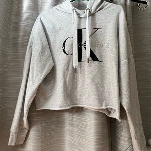 Calvin Klein Cropped Hoodie